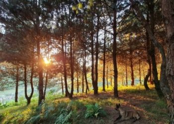 Lost in the peaceful place of Hua Tat and Van Ho villages