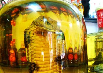 The world’s strangest foods and drinks that you only see in Vietnam