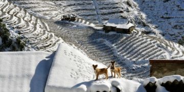 Sapa Was Voted Top 10 Snow Places To Visit This Winter In Asia