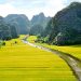 Best day trips from Hanoi