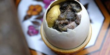 The most controversial dishes in Vietnam