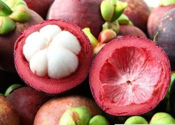 5 most delicious strange fruits in Vietnam