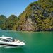 Cruise on Ha Long Bay for a wonderful sailing experience