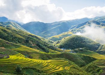 Avoid common scams in North Vietnam