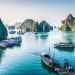 “Safe to travel to Vietnam”: An Insider’s Guide to Touring the Country Safely
