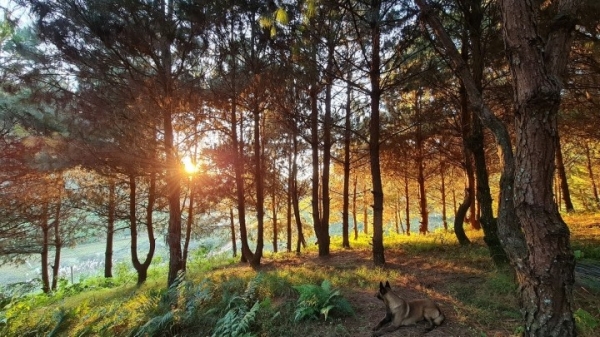 Lost in the peaceful place of Hua Tat and Van Ho villages