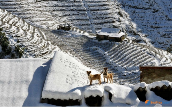 Sapa Was Voted Top 10 Snow Places To Visit This Winter In Asia