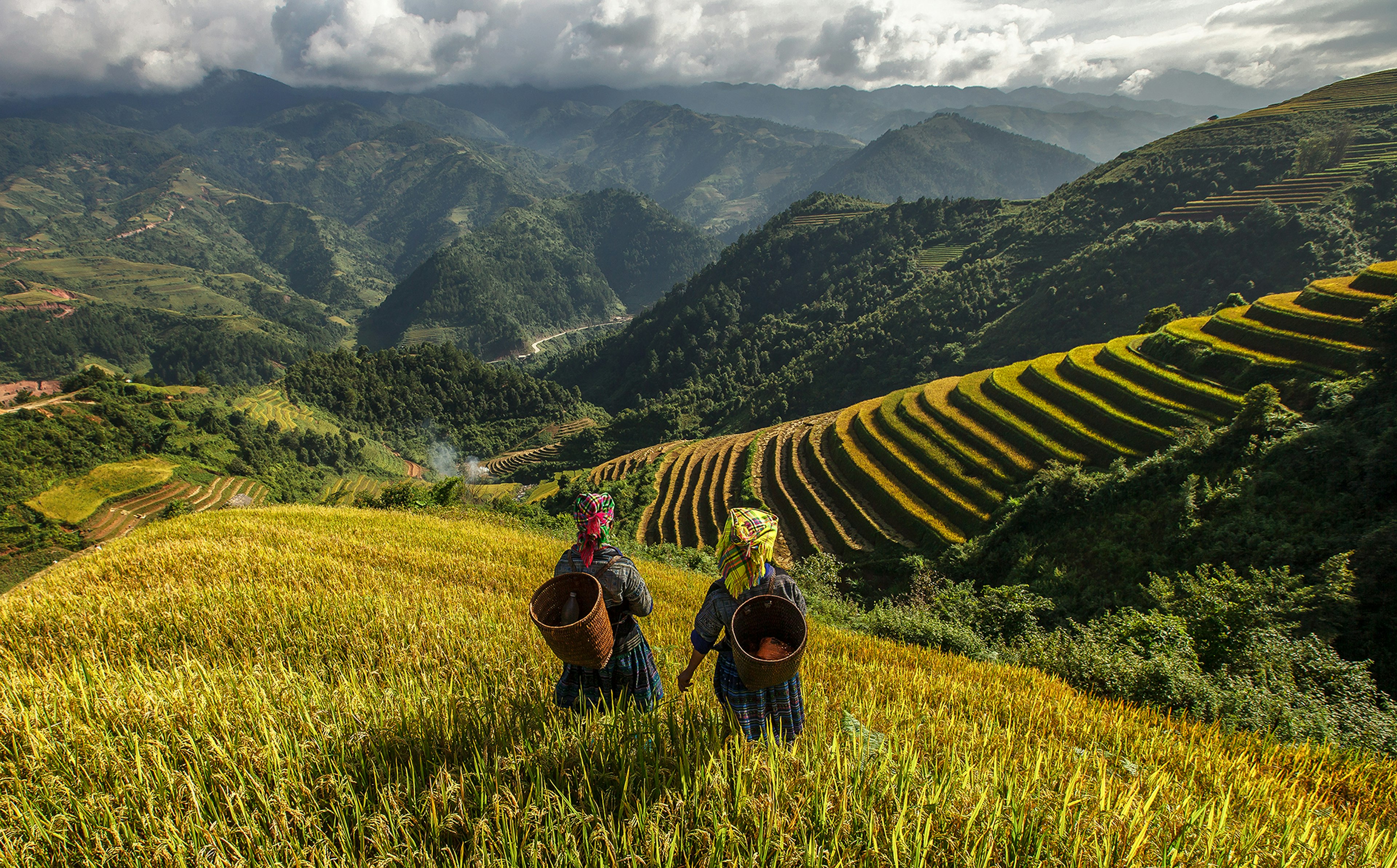 Two farmers dressed in tribal costumes and carrying baskets on their backs look at the green rice fields in a mountainous area