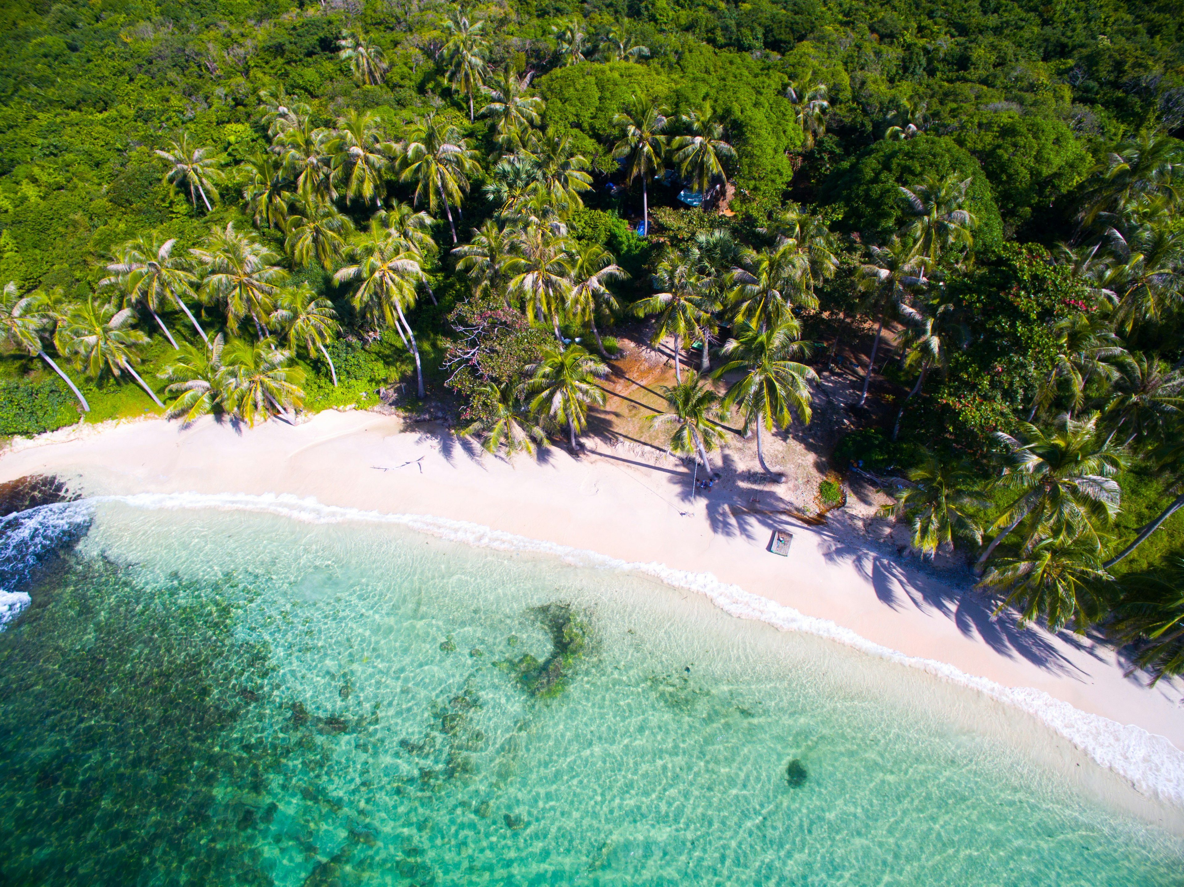 An aerial shot of thick palm tree vegetation meeting a bright blue sea with a golden arc of sand.